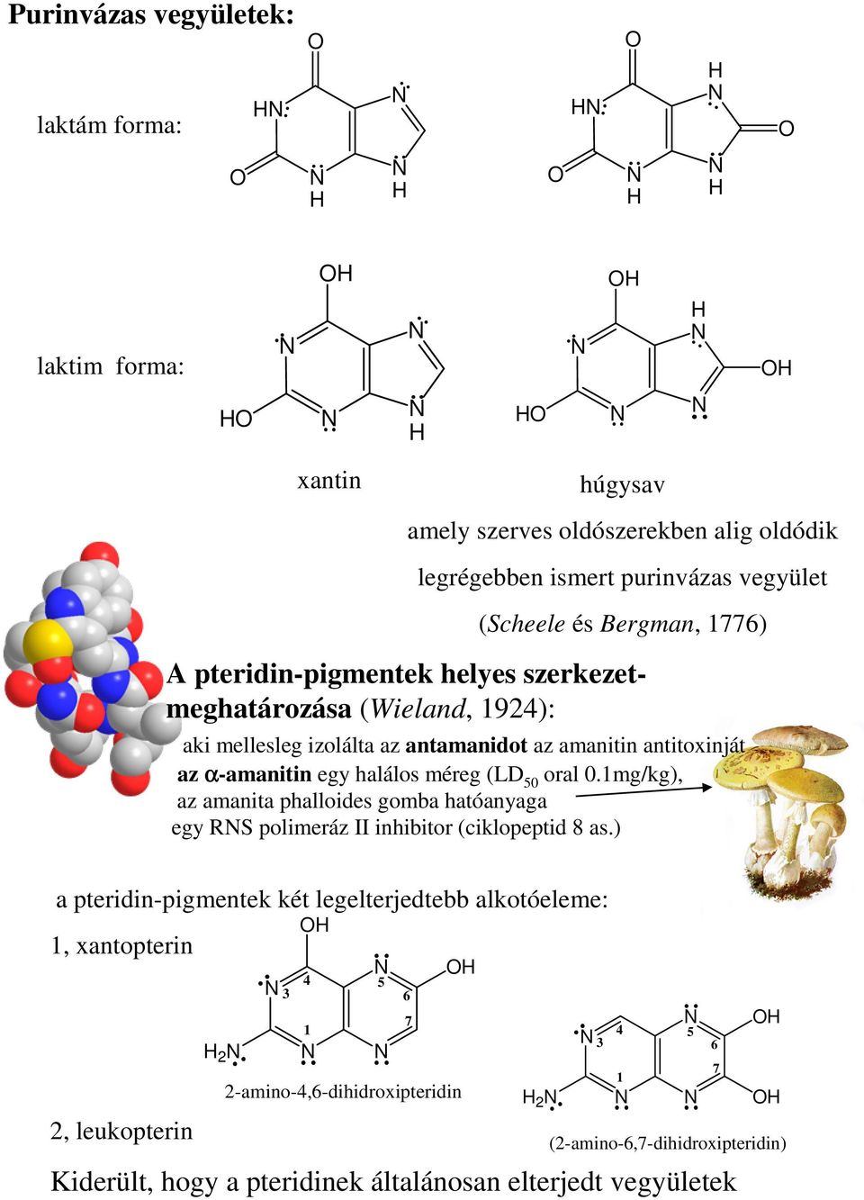 (LD 50 oral 0.1mg/kg), az amanita phalloides gomba hatóanyaga egy RS polimeráz II inhibitor (ciklopeptid 8 as.