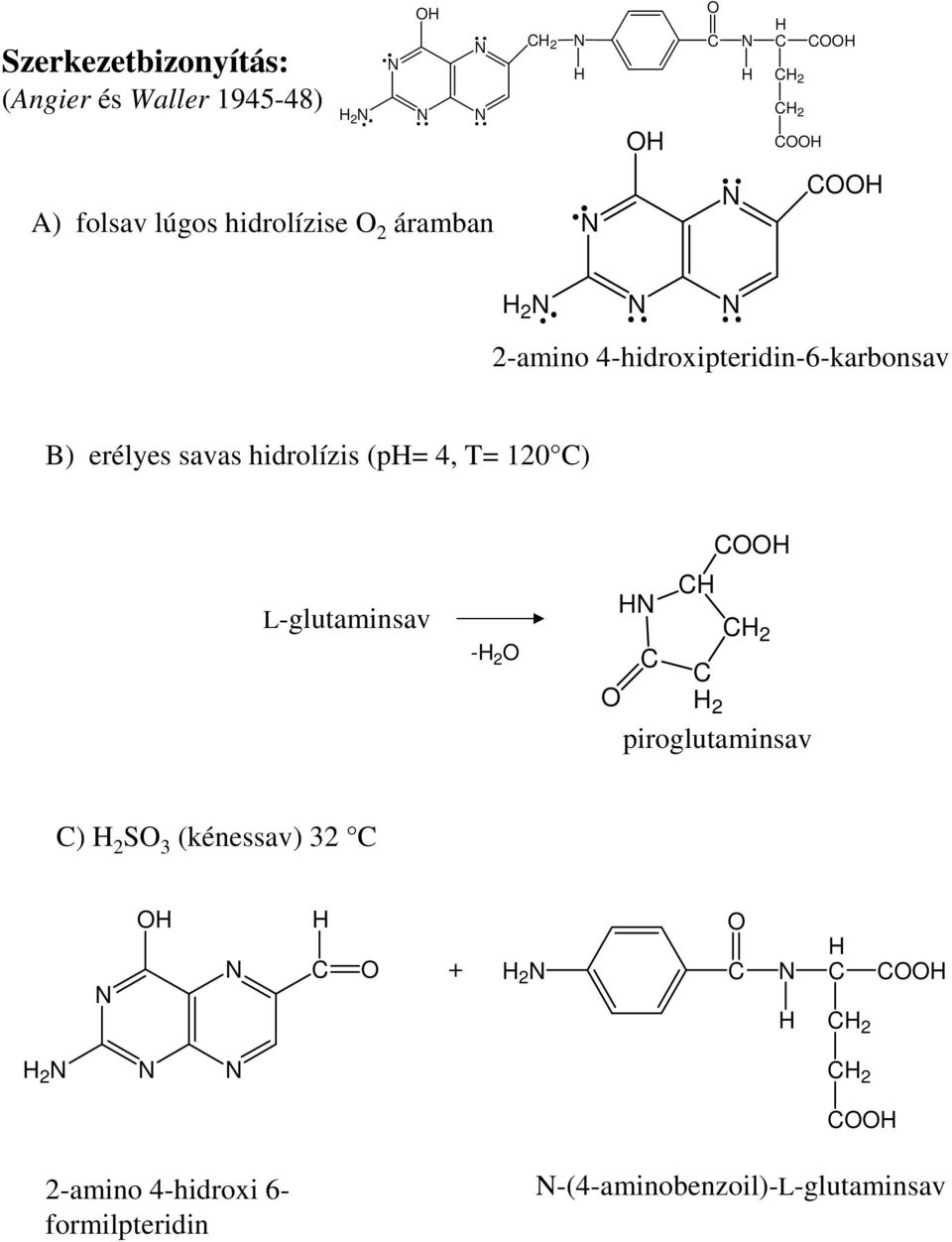 hidrolízis (p= 4, T= 120 ) L-glutaminsav - 2 2 2 piroglutaminsav ) 2 S 3