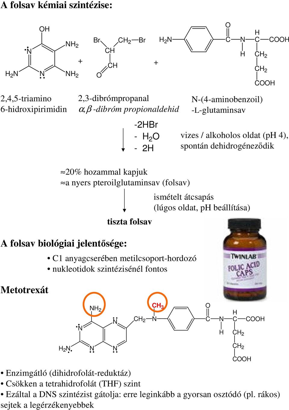 Metotrexát tiszta folsav 1 anyagcserében metilcsoport-hordozó nukleotidok szintézisénél fontos ismételt átcsapás (lúgos oldat, p beállítása) 2 2 3 2 2 2