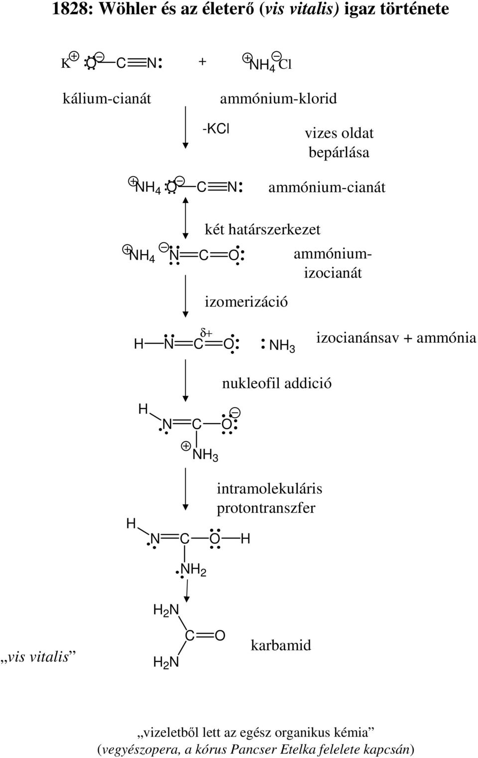 3 izocianánsav + ammónia nukleofil addició 3 intramolekuláris protontranszfer 2 2 vis vitalis 2