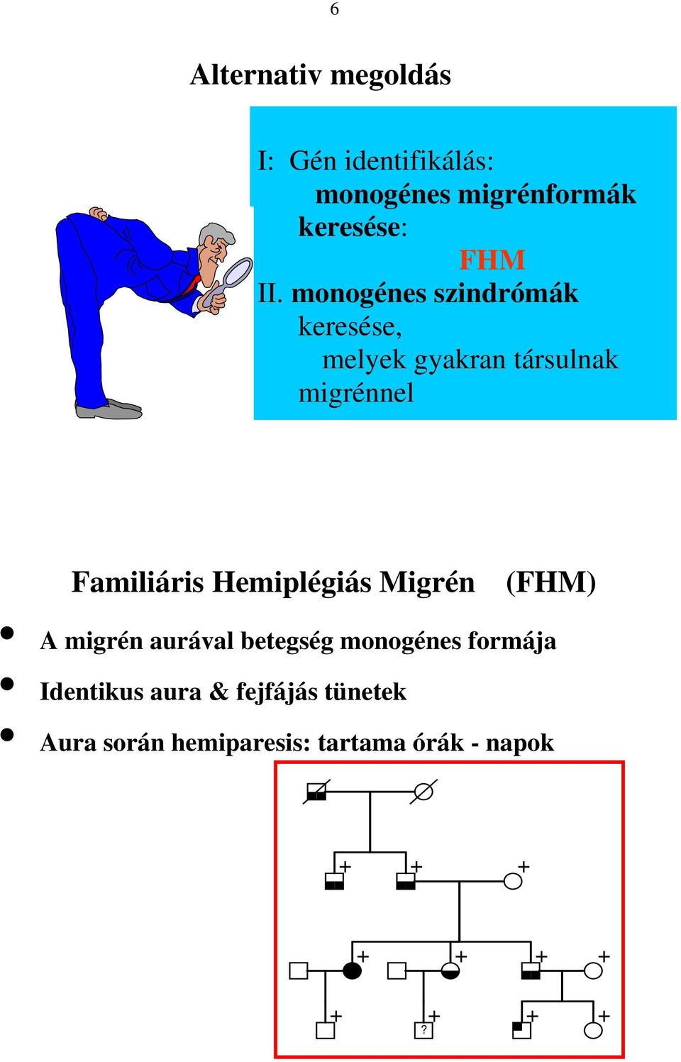 Hemiplégiás Migrén (FHM) A migrén aurával betegség monogénes formája Identikus