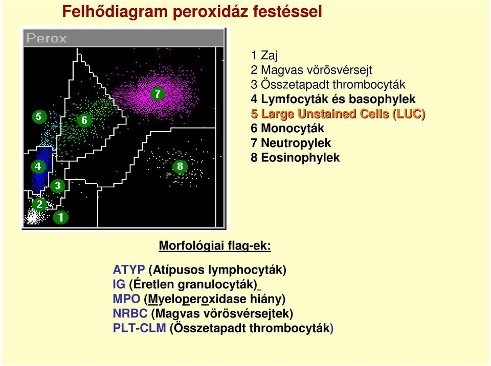 Neutropylek 8 Eosinophylek Morfológiai flag-ek: ATYP (Atípusos lymphocyták) IG (Éretlen