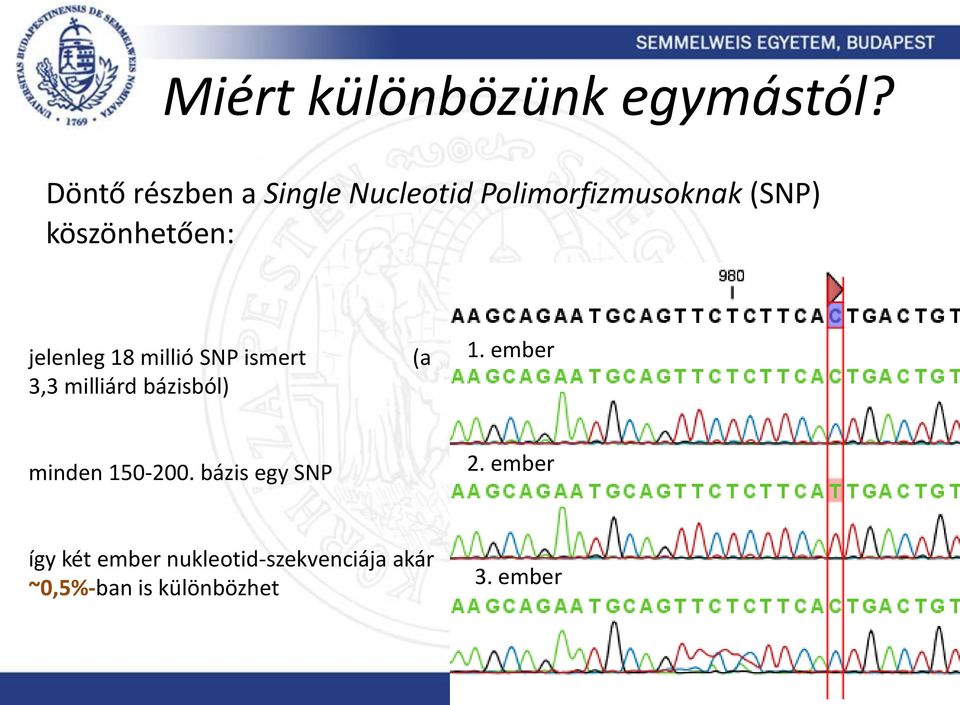 köszönhetően: jelenleg 18 millió SNP ismert (a 3,3 milliárd bázisból)