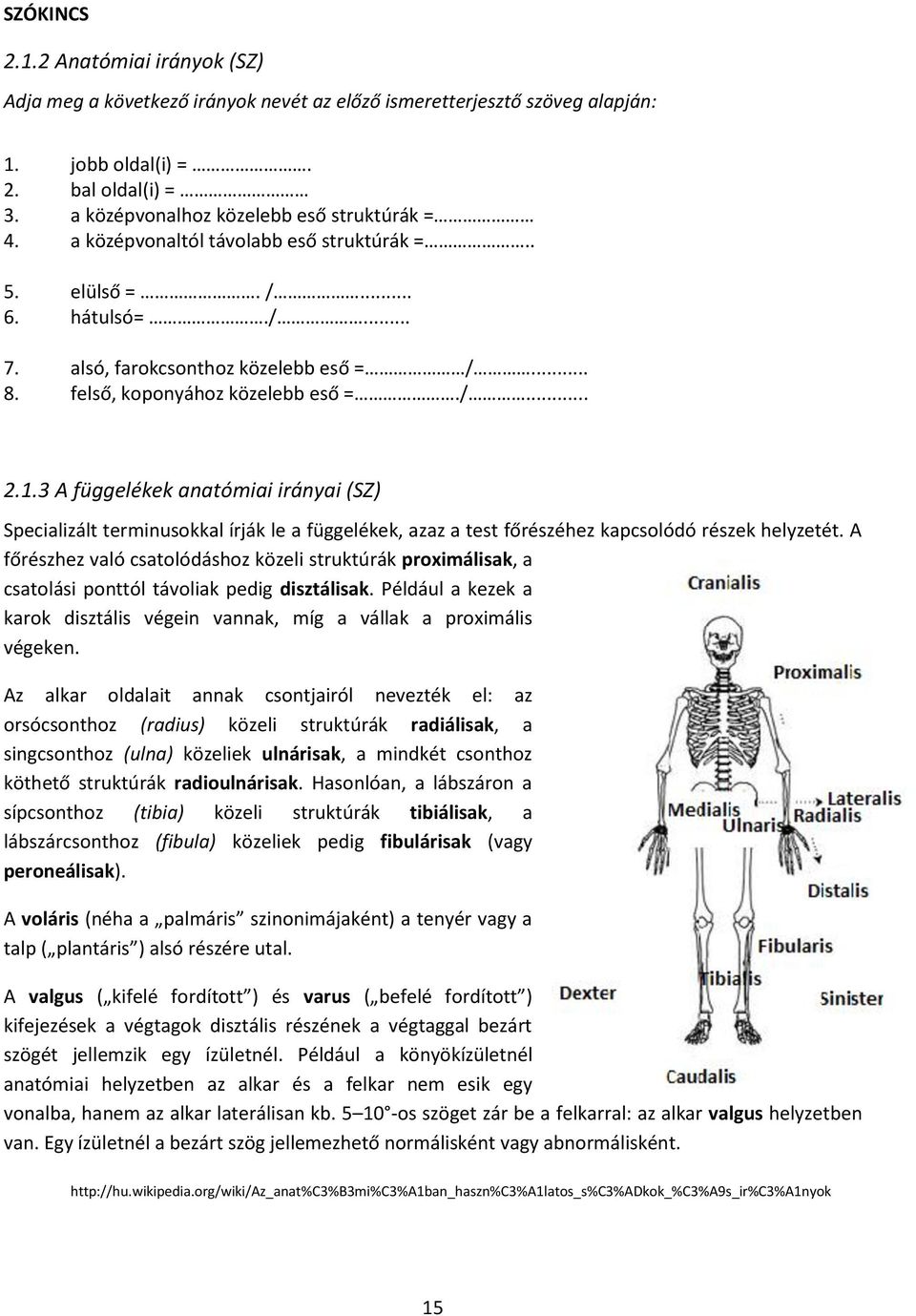 3 A függelékek anatómiai irányai (SZ) Specializált terminusokkal írják le a függelékek, azaz a test főrészéhez kapcsolódó részek helyzetét.