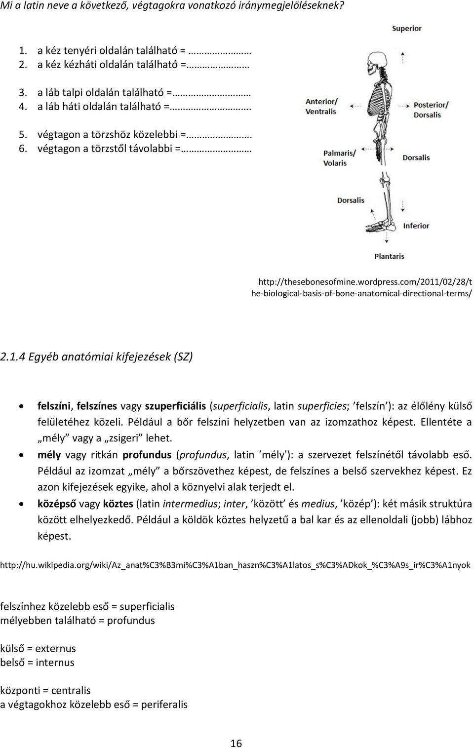 com/2011/02/28/t he-biological-basis-of-bone-anatomical-directional-terms/ 2.1.4 Egyéb anatómiai kifejezések (SZ) felszíni, felszínes vagy szuperficiális (superficialis, latin superficies; felszín ): az élőlény külső felületéhez közeli.