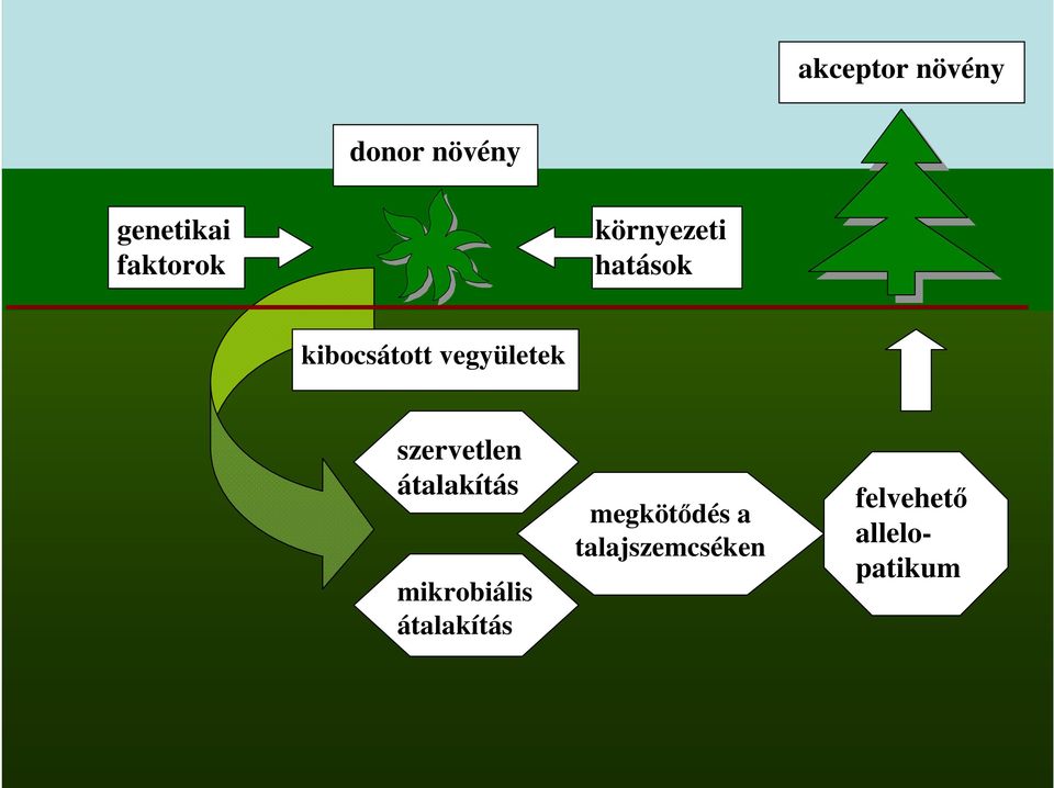 vegyületek szervetlen átalakítás mikrobiális