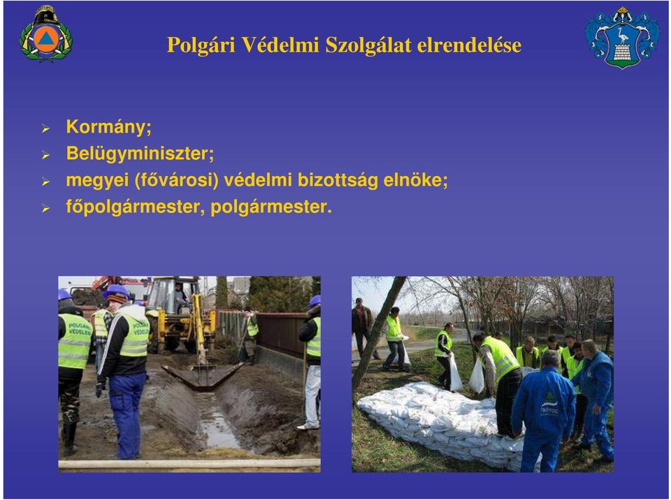 Belügyminiszter; megyei (fővárosi)