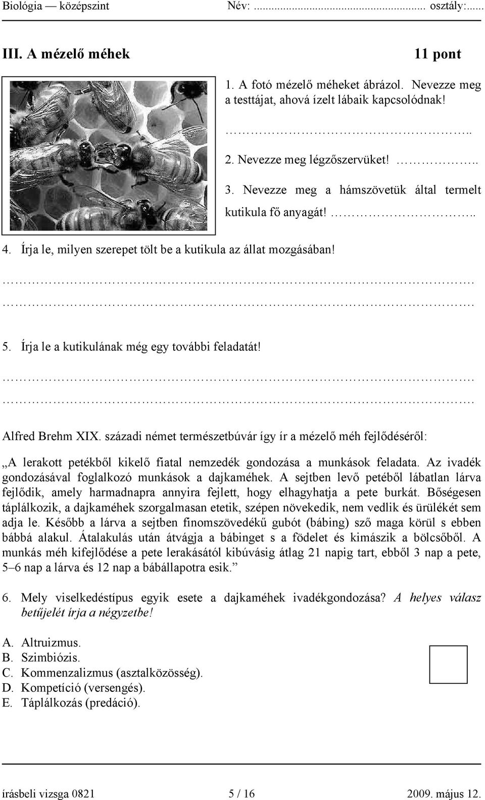 .. Alfred Brehm XIX. századi német természetbúvár így ír a mézelő méh fejlődéséről: A lerakott petékből kikelő fiatal nemzedék gondozása a munkások feladata.
