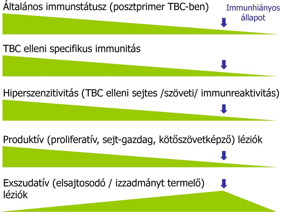 /szöveti/ immunreaktivitás) Produktív (proliferatív, sejt-gazdag,