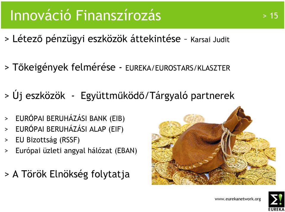 Együttmőködı/Tárgyaló partnerek > EURÓPAI BERUHÁZÁSI BANK (EIB) > EURÓPAI