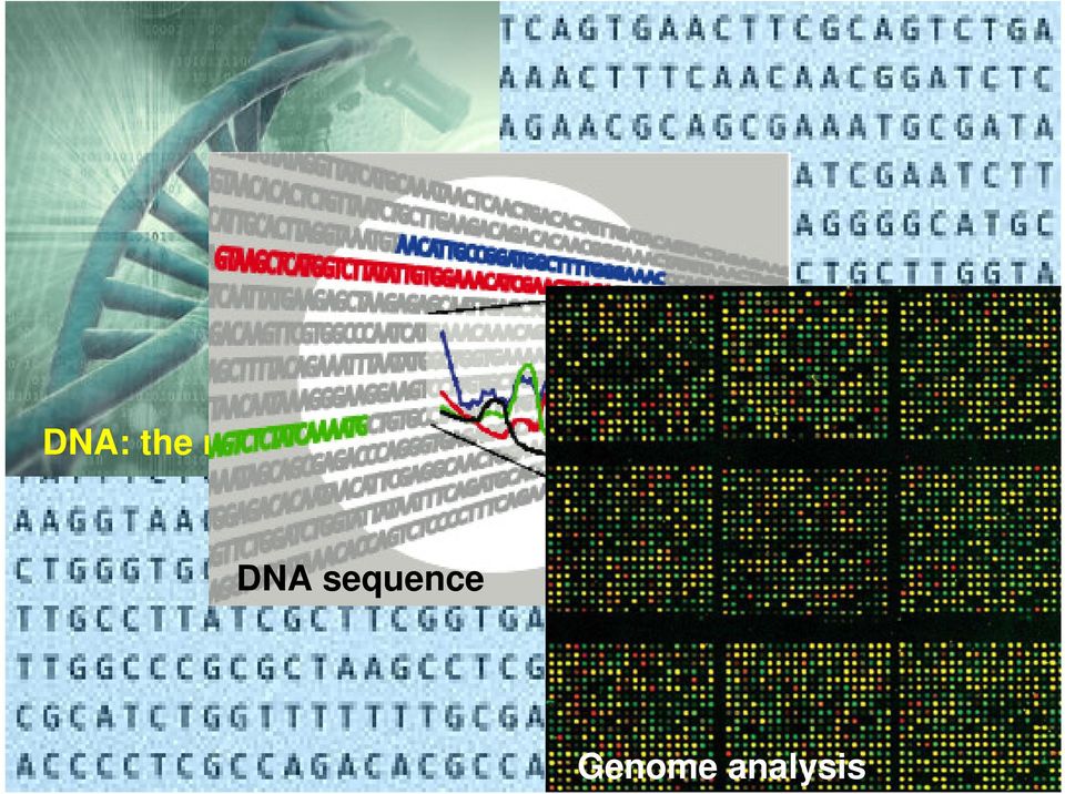 life DNA