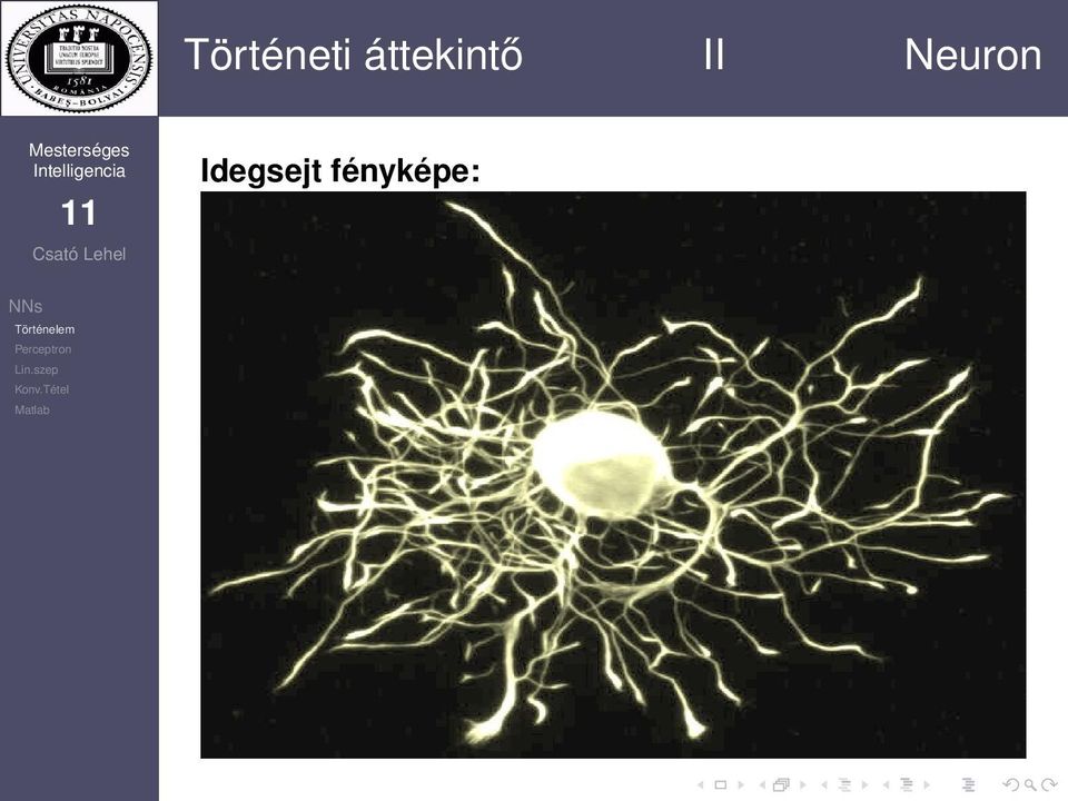 II Neuron