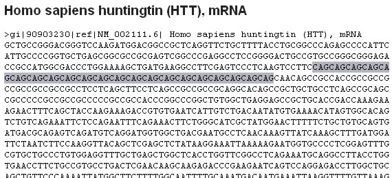 A huntingtin fehérje génje 210 kb hosszúságú és 67 exont tartalmaz. Az első exon 5 végén van egy instabil, polimorf trinucleotid repeat (CAG) szakasz, amely poliglutamin szakaszt kódol.