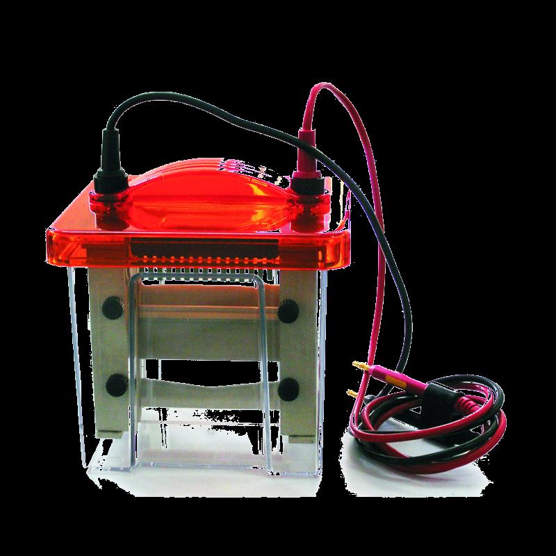 hibridizáció, autoradiográfia Elektroblot DNS