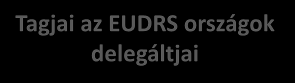 EU DRS végrehajtása a koordinációs bizottságok (steering group) szerepe Prioritás Terület Koordinátorok és a Steering Group Stratégiai együttműködési fórum Tagjai az EUDRS