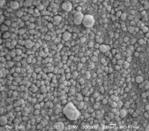 A szövetmintákat baktériumölő tesztnek is alávetették. Gram- (Escherichia. coli) és Gram+ (Staphylococcus aureus) baktériumokat használtak.