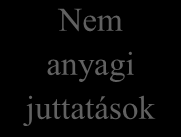 Üzleti stratégia Ösztönzési politika, stratégia Teljesítménymenedzsment Munkakörértékelés A piaci környezet felmérése Anyagi juttatások Fizetési szintek és differenciák Nem anyagi juttatások Fizetési