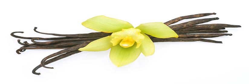 Hüvelyszerű, húsos toktermés Tartalmaz: Illóolaj: vanillin (szabad