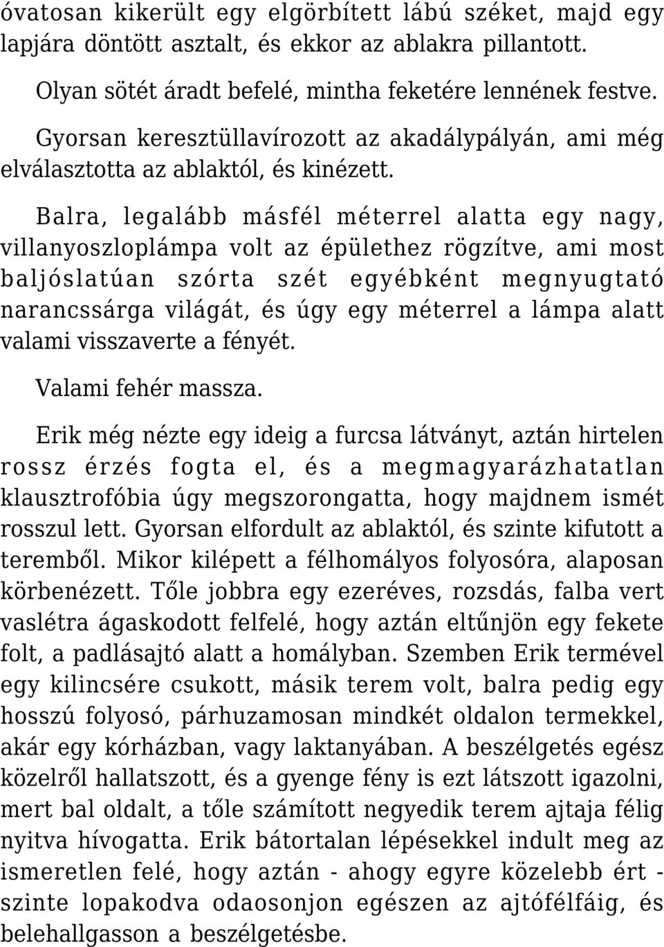 Balra, legalább másfél méterrel alatta egy nagy, villanyoszloplámpa volt az épülethez rögzítve, ami most baljóslatúan szórta szét egyébként megnyugtató narancssárga világát, és úgy egy méterrel a