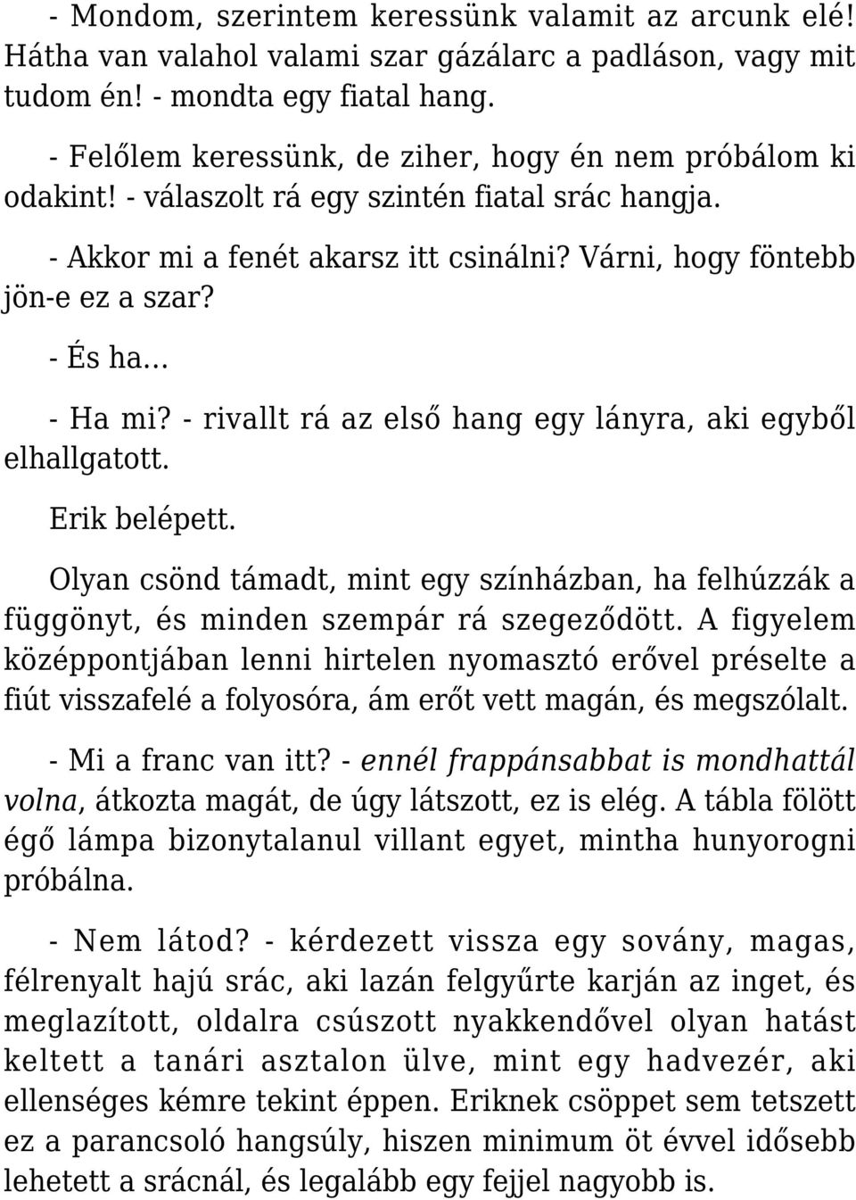 - És ha - Ha mi? - rivallt rá az első hang egy lányra, aki egyből elhallgatott. Erik belépett. Olyan csönd támadt, mint egy színházban, ha felhúzzák a függönyt, és minden szempár rá szegeződött.