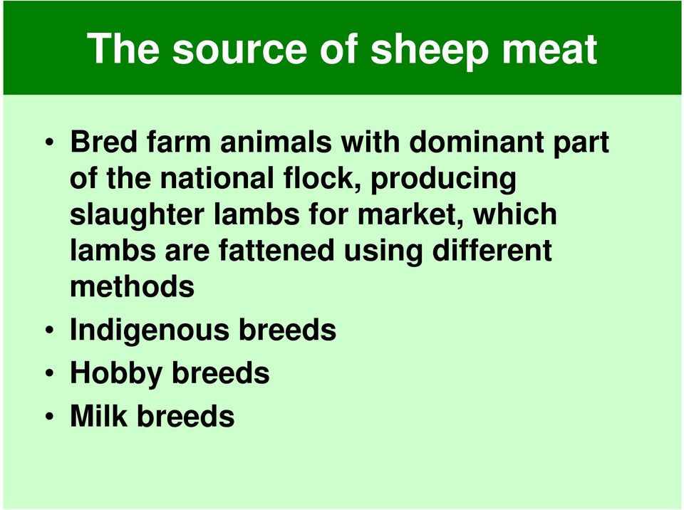 slaughter lambs for market, which lambs are fattened