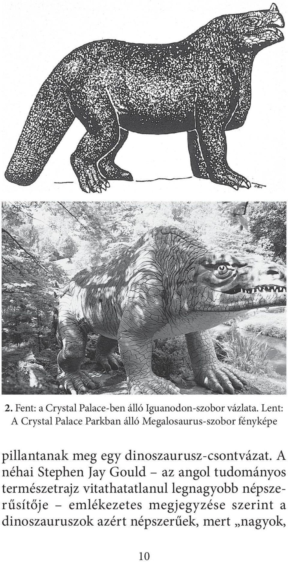 dinoszaurusz-csontvázat.