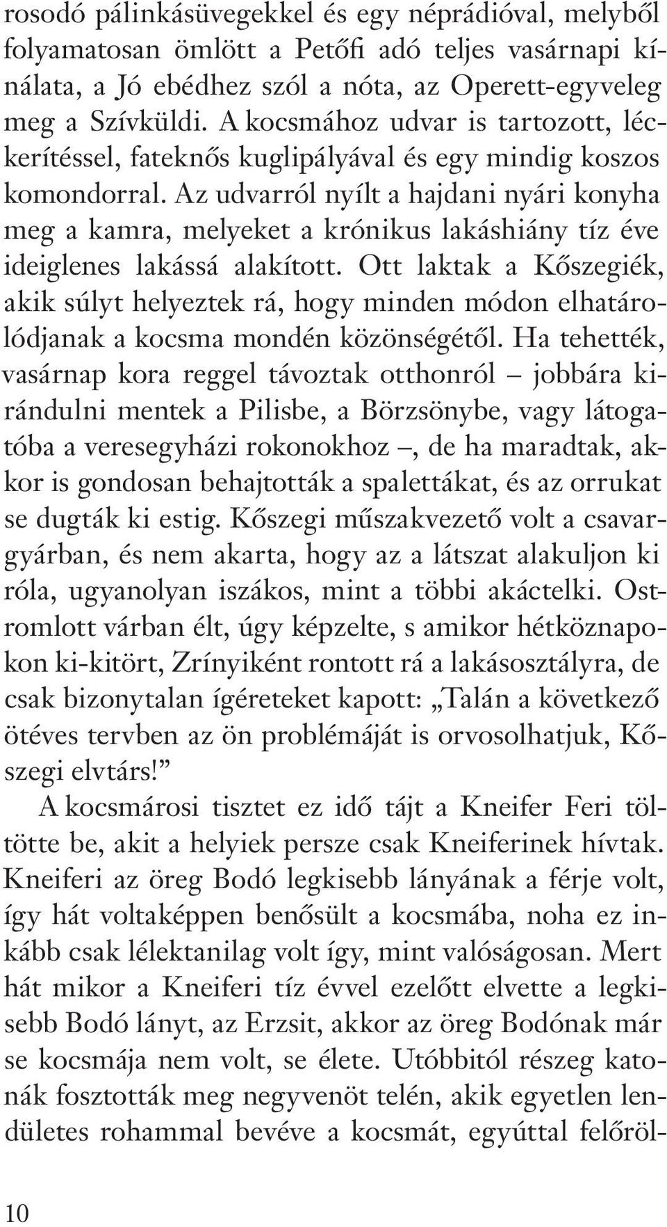 Az udvarról nyílt a hajdani nyári konyha meg a kamra, melyeket a krónikus lakáshiány tíz éve ideiglenes lakássá alakított.