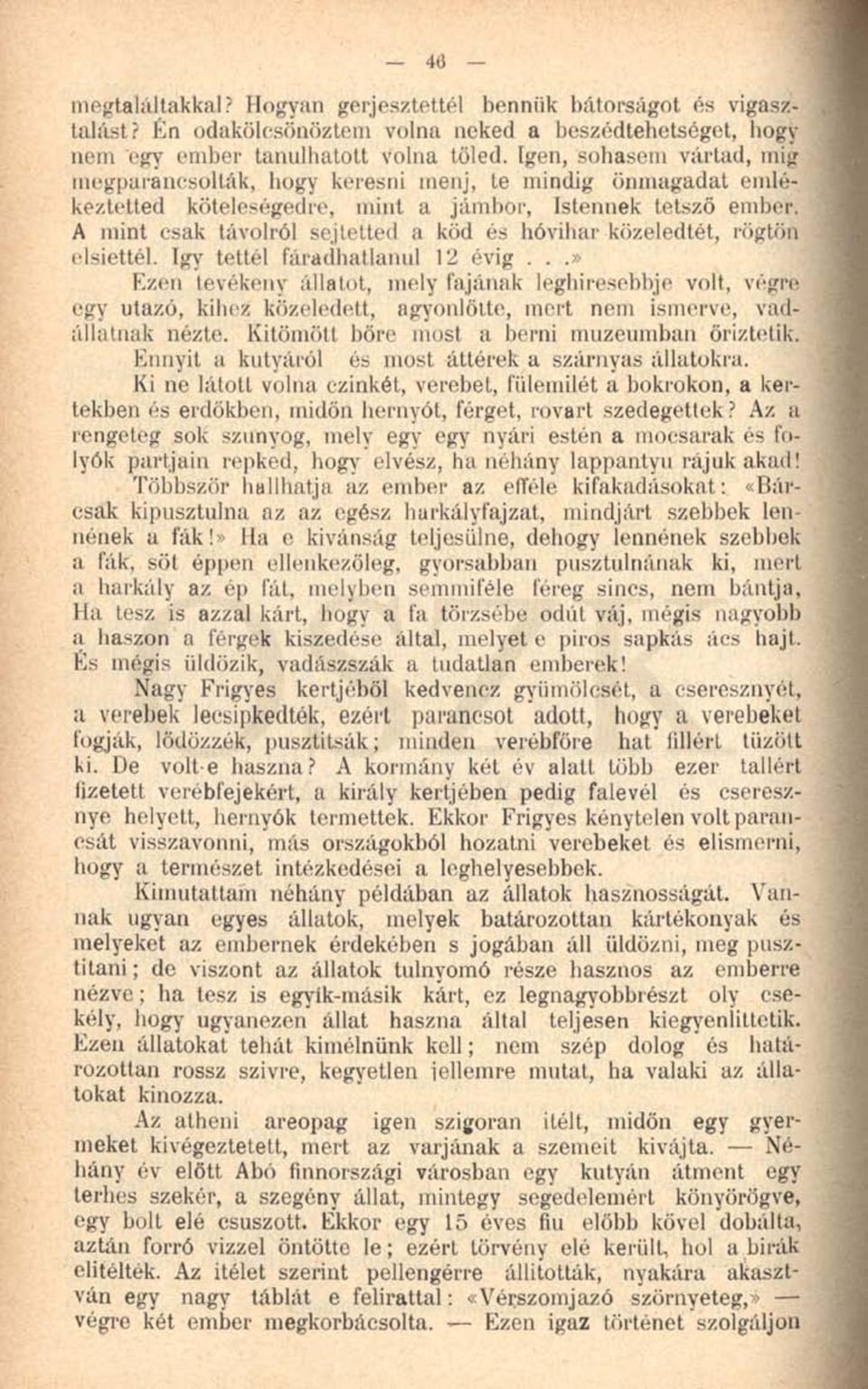 A mint csak távolról sejtetted a köd és hóvihar közeledtét, rögtön elsiettél. Igy tettél fáradhatlanul 12 évig.