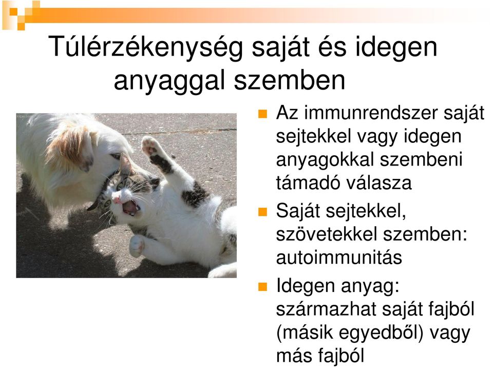 támadó válasza Saját sejtekkel, szövetekkel szemben: