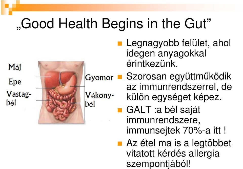 Szorosan együttmőködik az immunrendszerrel, de külön egységet képez.