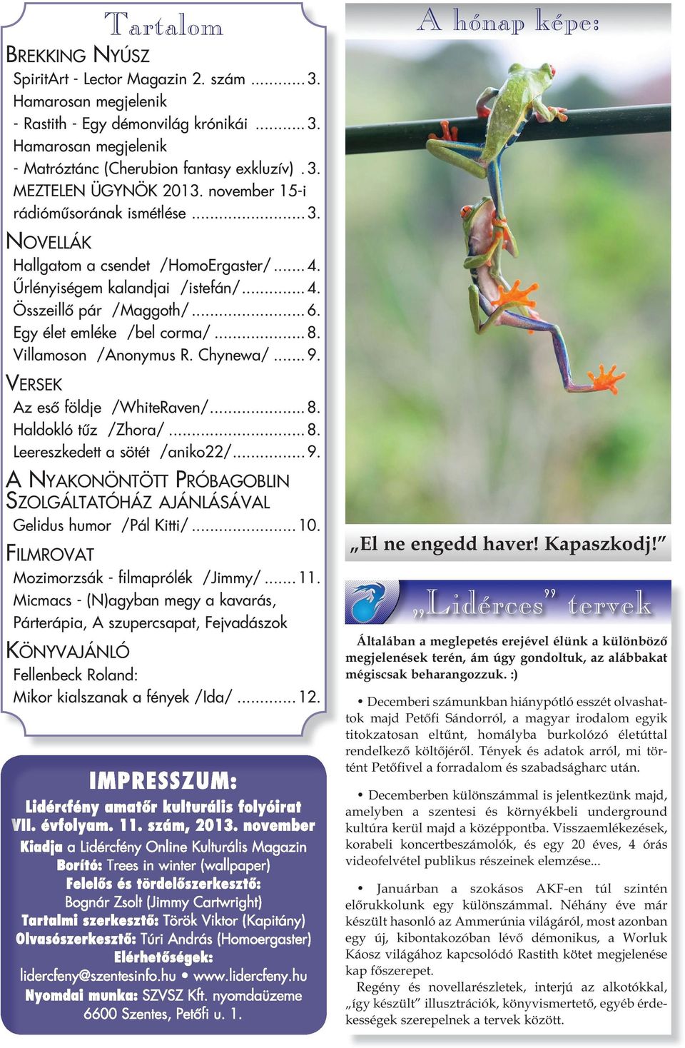 Villamoson /Anonymus R. Chynewa/... 9. VERSEK Az eső földje /WhiteRaven/... 8. Haldokló tűz /Zhora/... 8. Leereszkedett a sötét /aniko22/... 9. A NYAKONÖNTÖTT PRÓBAGOBLIN SZOLGÁLTATÓHÁZ AJÁNLÁSÁVAL Gelidus humor /Pál Kitti/.