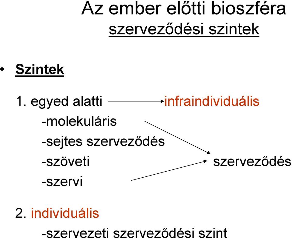 egyed alatti infraindividuális -molekuláris