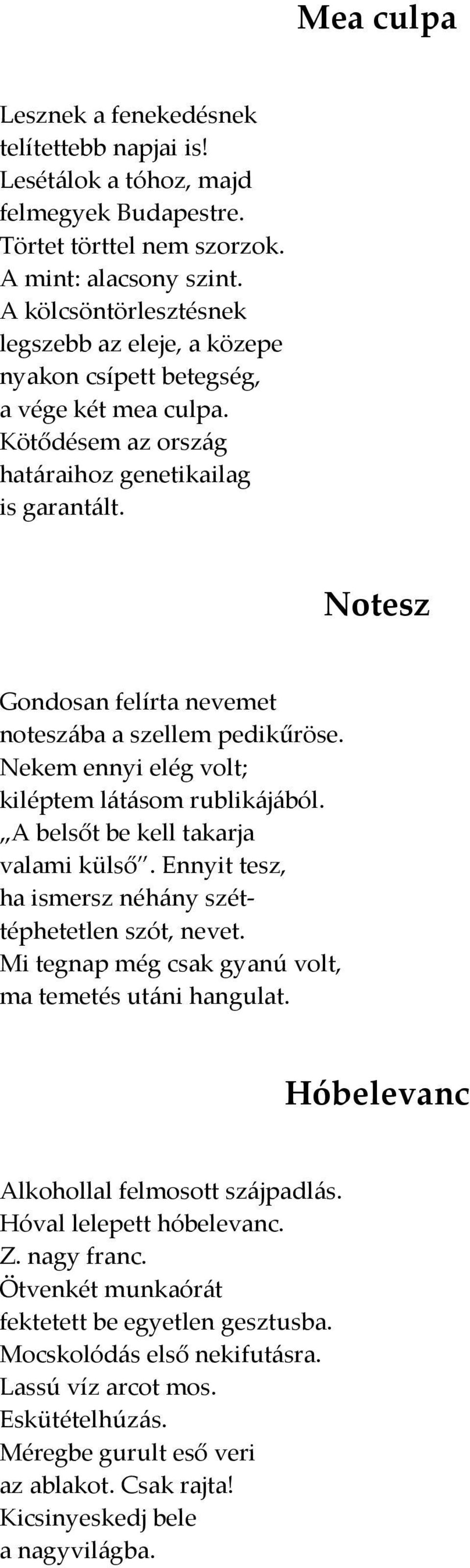 Notesz Gondosan felírta nevemet noteszába a szellem pedikűröse. Nekem ennyi elég volt; kiléptem látásom rublikájából. A belsőt be kell takarja valami külső.