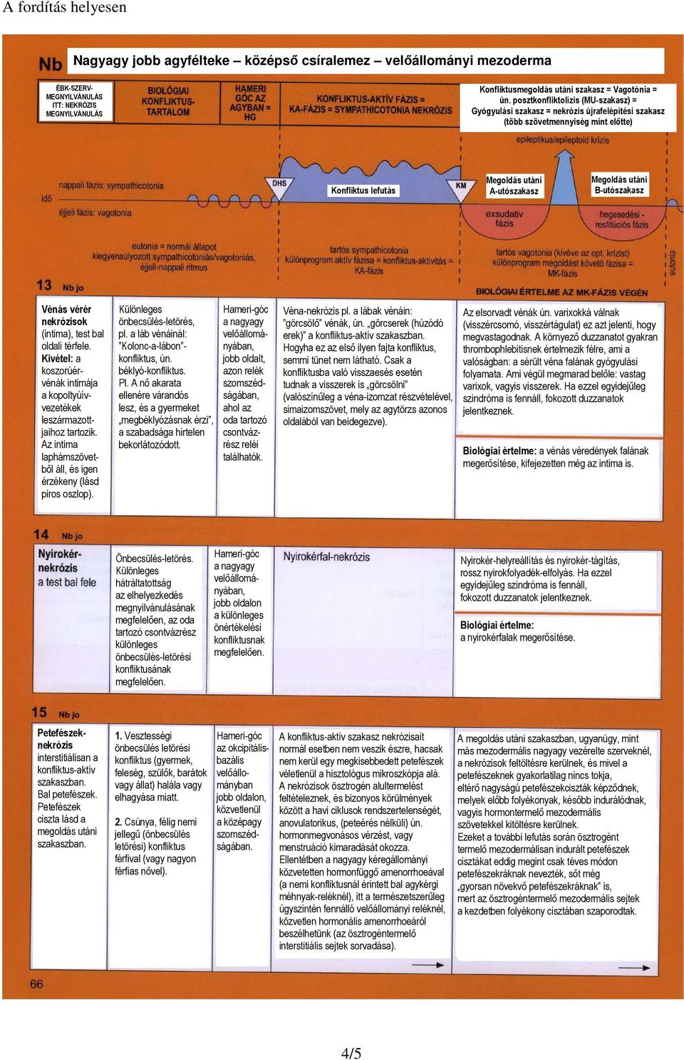 Vénás vérér nekrózisok (intima), test bal oldali térfele. Kivétel: a koszorúérvénák intimája a kopoltyúívvezetékek leszármazottjaihoz tartozik.