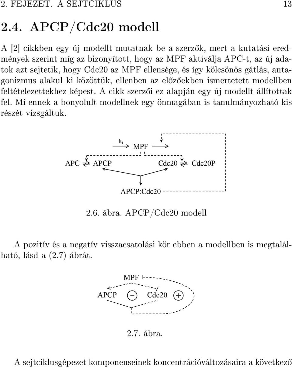 MPF ellensége, és így kölcsönös gátlás, antagonizmus alakul ki közöttük, ellenben az el z ekben ismertetett modellben feltételezettekhez képest.