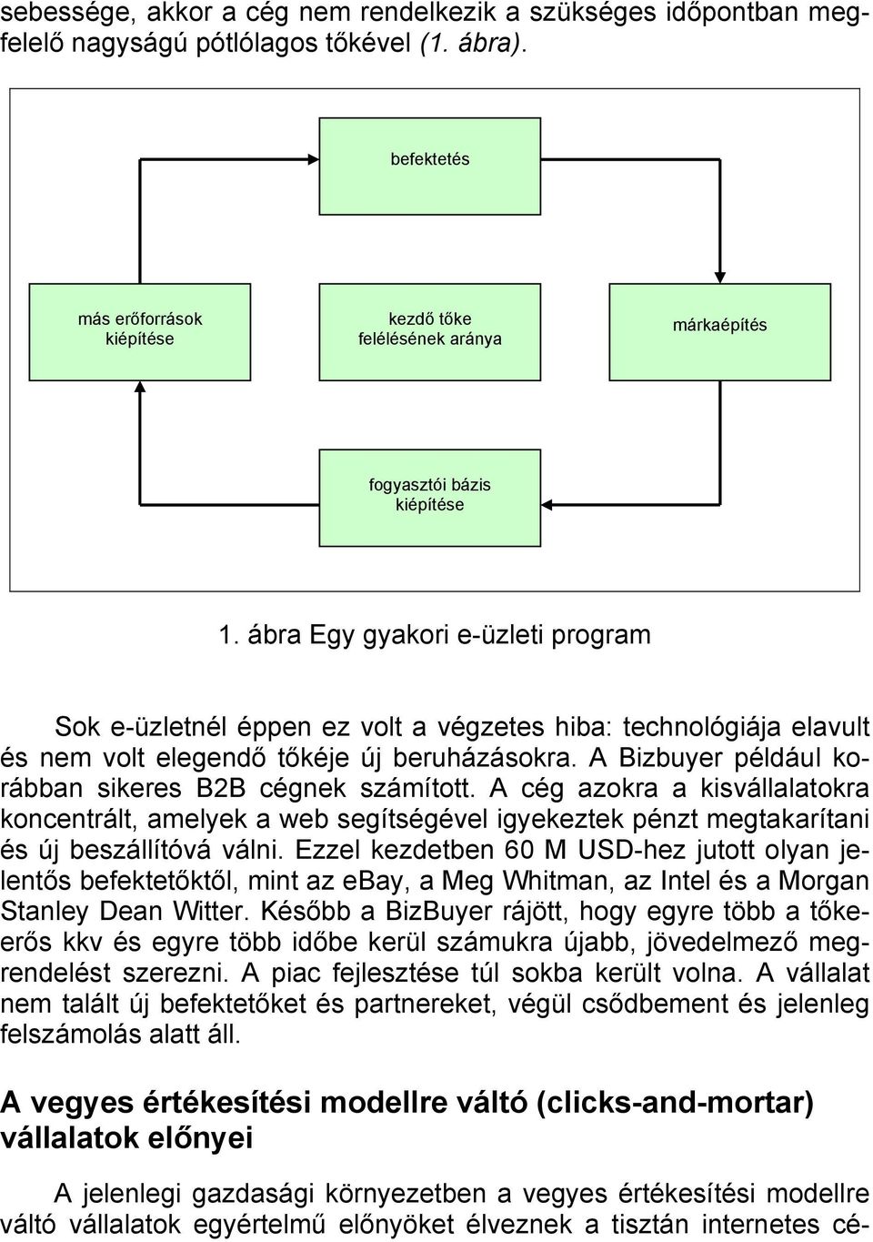 ábra Egy gyakori e-üzleti program Sok e-üzletnél éppen ez volt a végzetes hiba: technológiája elavult és nem volt elegendő tőkéje új beruházásokra.