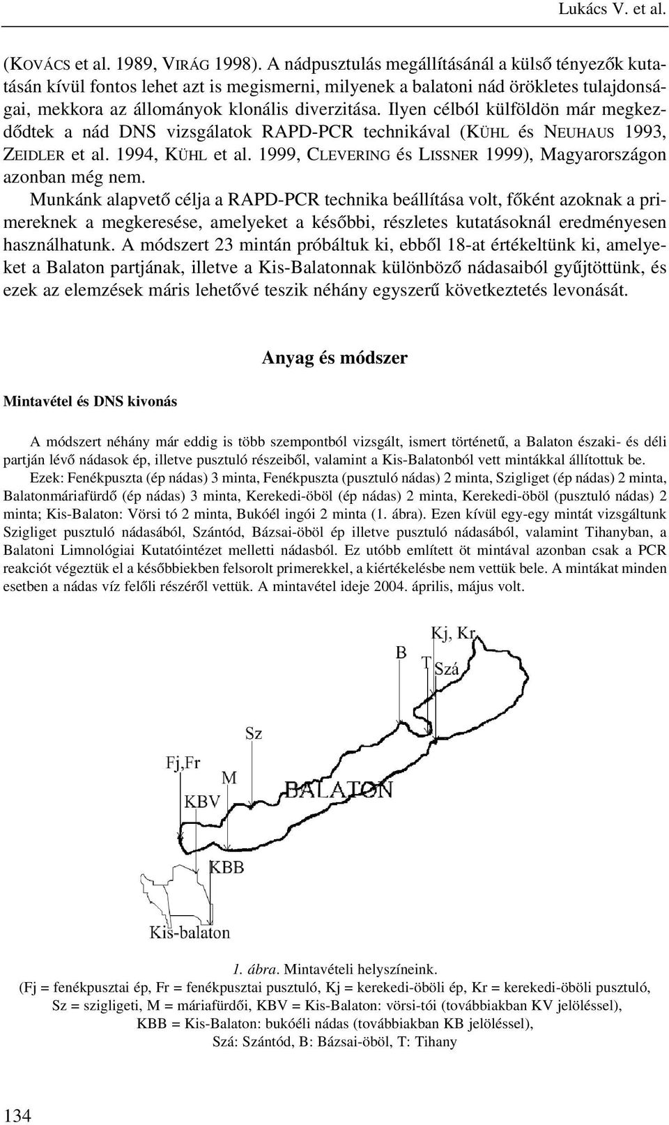 Ilyen célból külföldön már megkezdõdtek a nád DNS vizsgálatok RAPD-PCR technikával (KÜHL és NEUHAUS 1993, ZEIDLER et al. 1994, KÜHL et al.