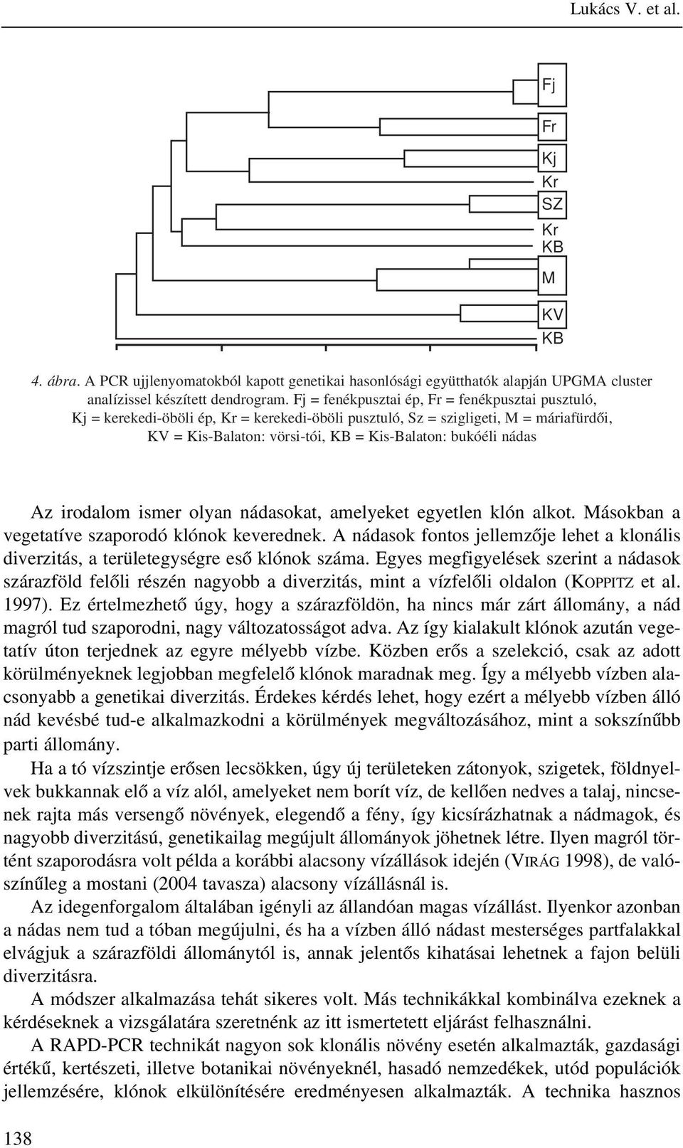 KV KB Az irodalom ismer olyan nádasokat, amelyeket egyetlen klón alkot. Másokban a vegetatíve szaporodó klónok keverednek.