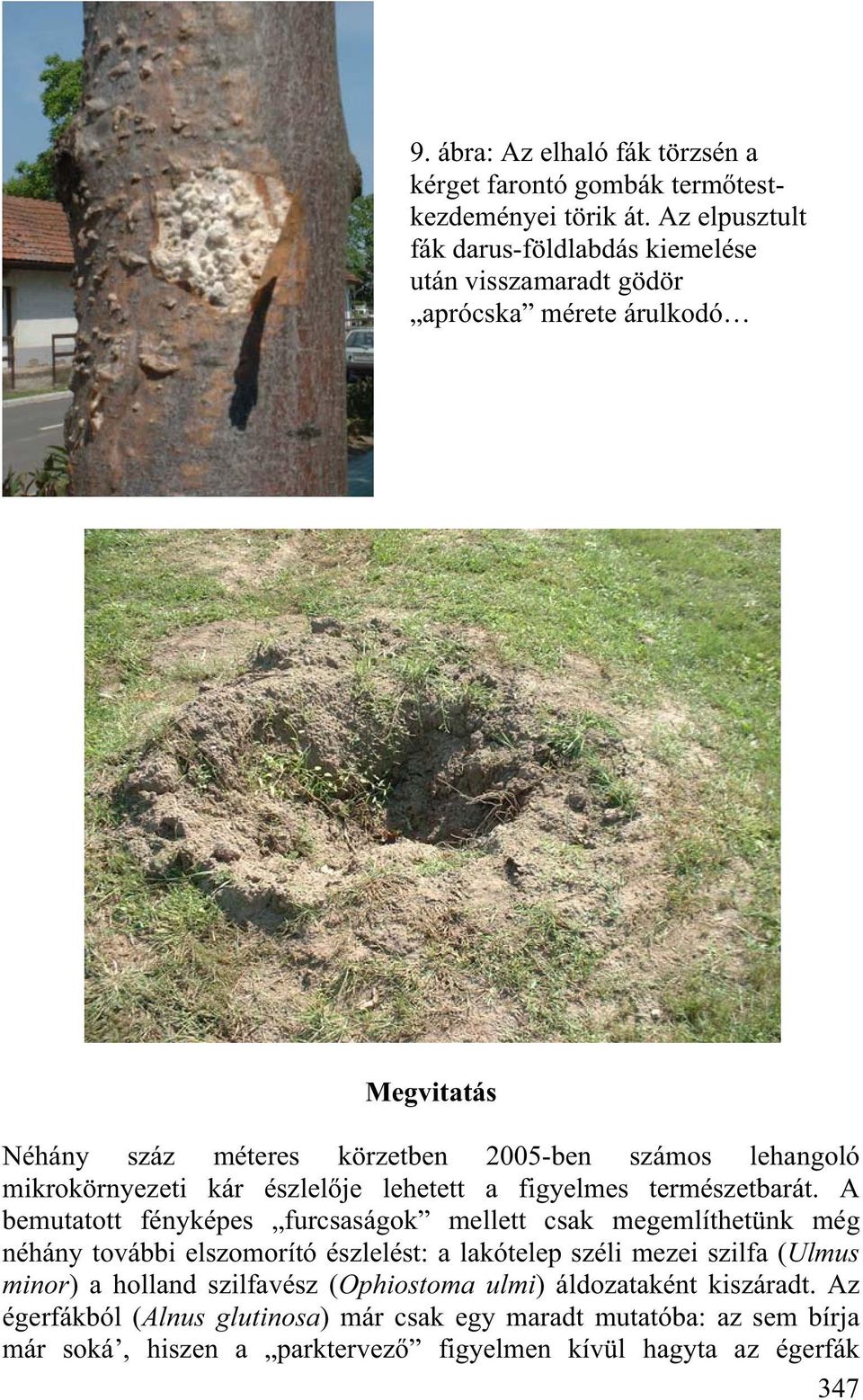 mikrokörnyezeti kár észlel je lehetett a figyelmes természetbarát.