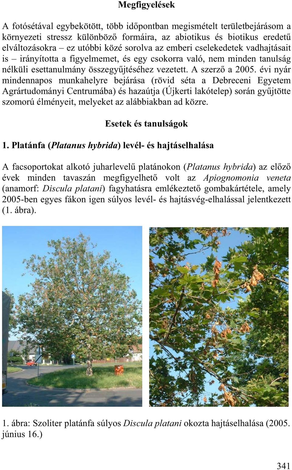 évi nyár mindennapos munkahelyre bejárása (rövid séta a Debreceni Egyetem Agrártudományi Centrumába) és hazaútja (Újkerti lakótelep) során gy jtötte szomorú élményeit, melyeket az alábbiakban ad