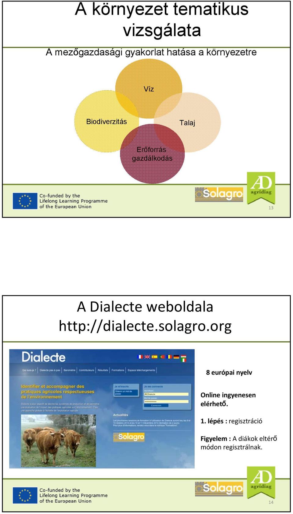 weboldala http://dialecte.solagro.