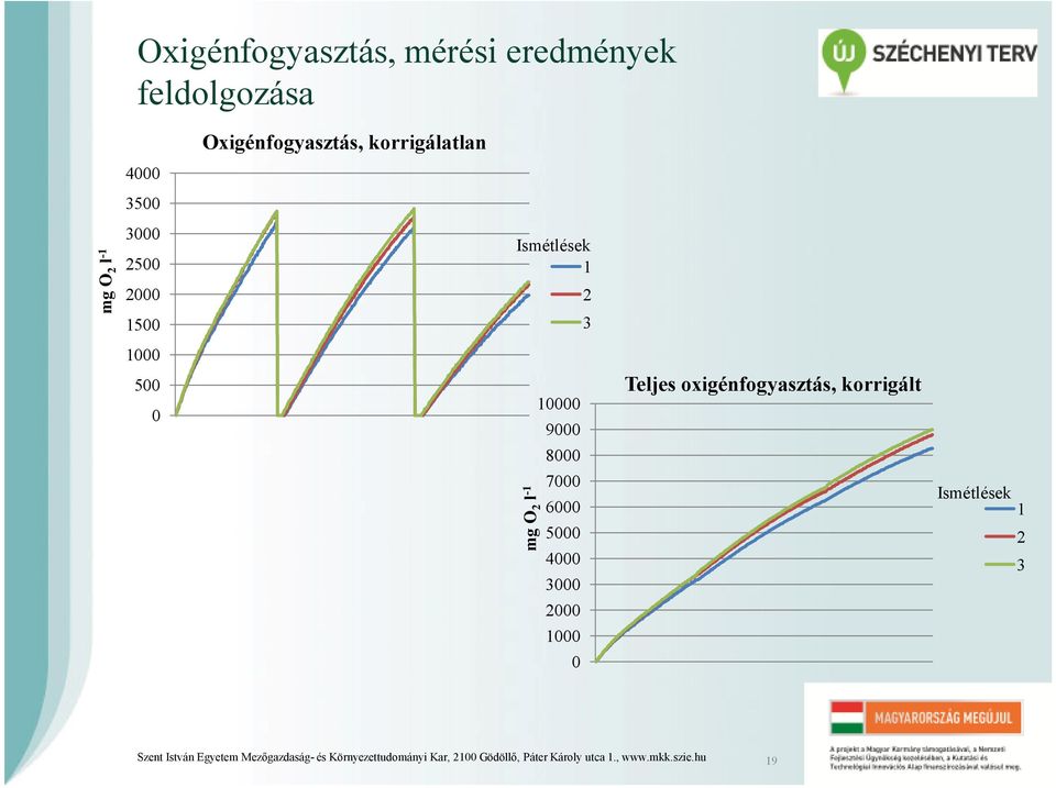 5000 4000 3000 2000 1000 0 Teljes oxigénfogyasztás, korrigált Ismétlések 1 2 3 Szent István