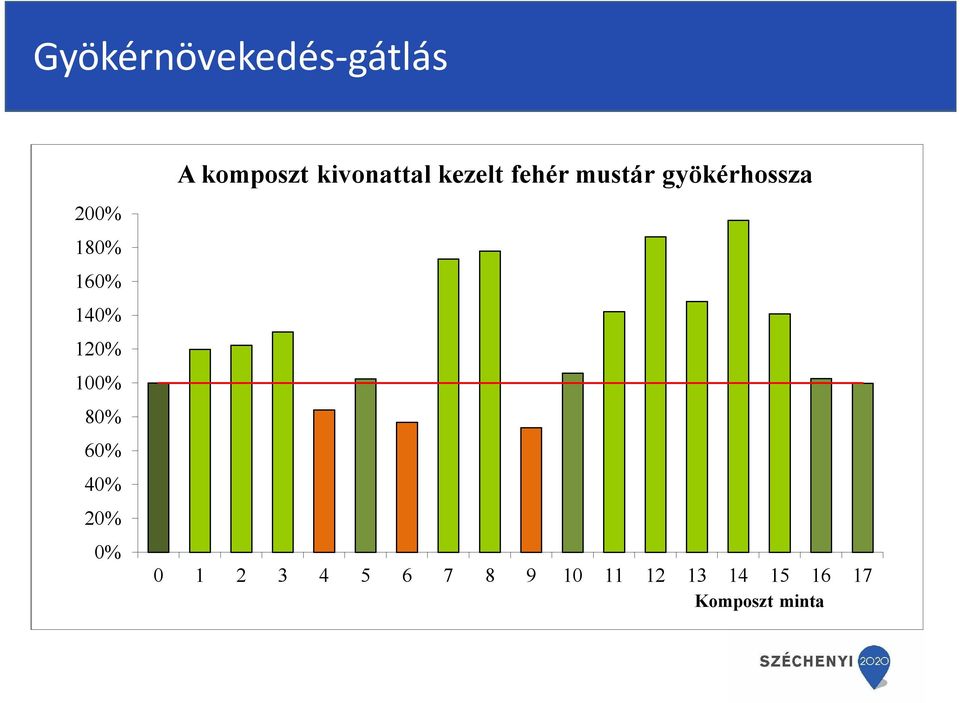 kivonattal kezelt fehér mustár gyökérhossza 0