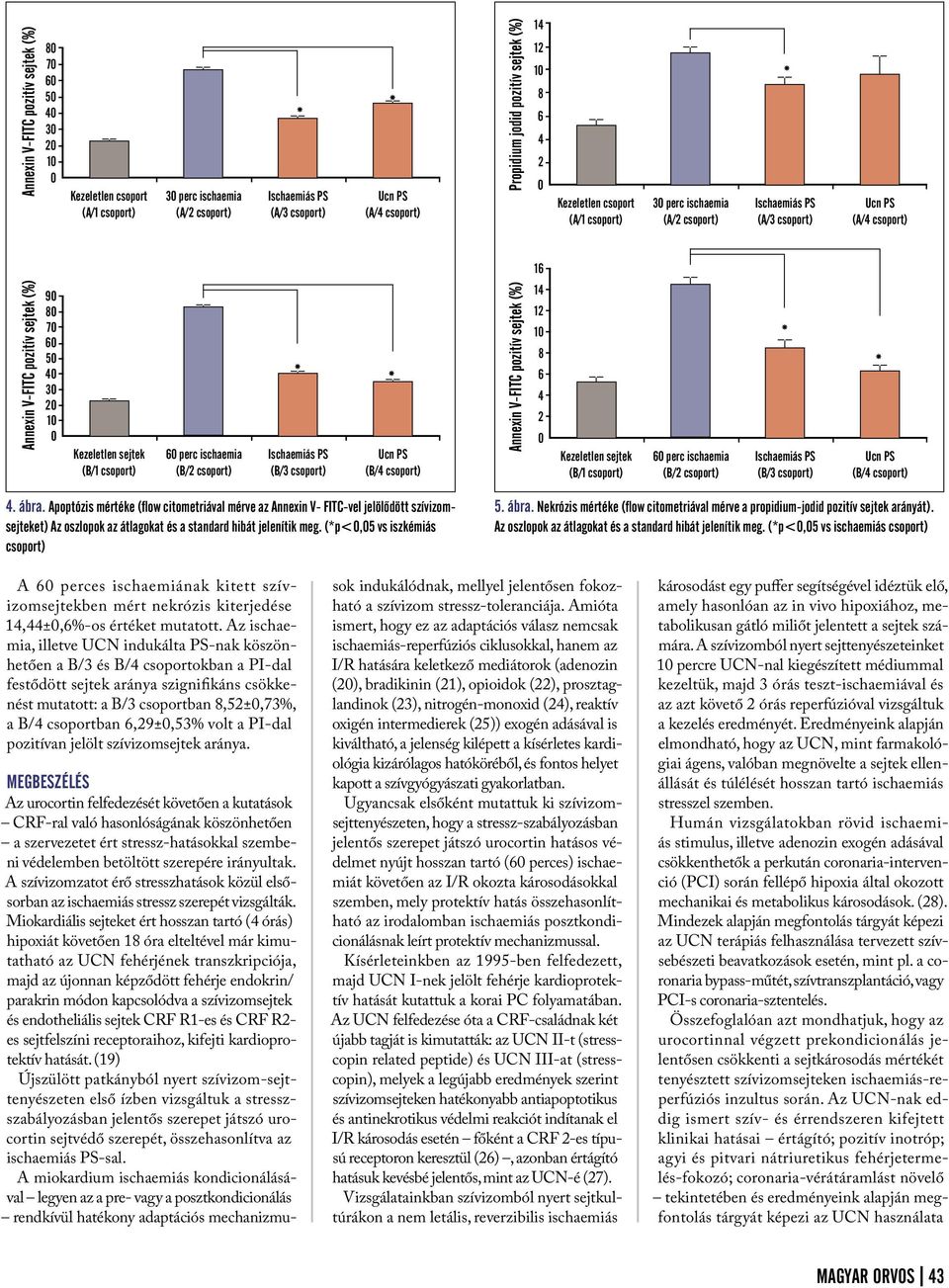 Apoptózis mértéke (flow citometriával mérve az Annexin V- FITC-vel jelölõdött szívizomsejteket) Az oszlopok az átlagokat és a standard hibát jelenítik meg. (*p<,5 vs iszkémiás csoport) 5. ábra.