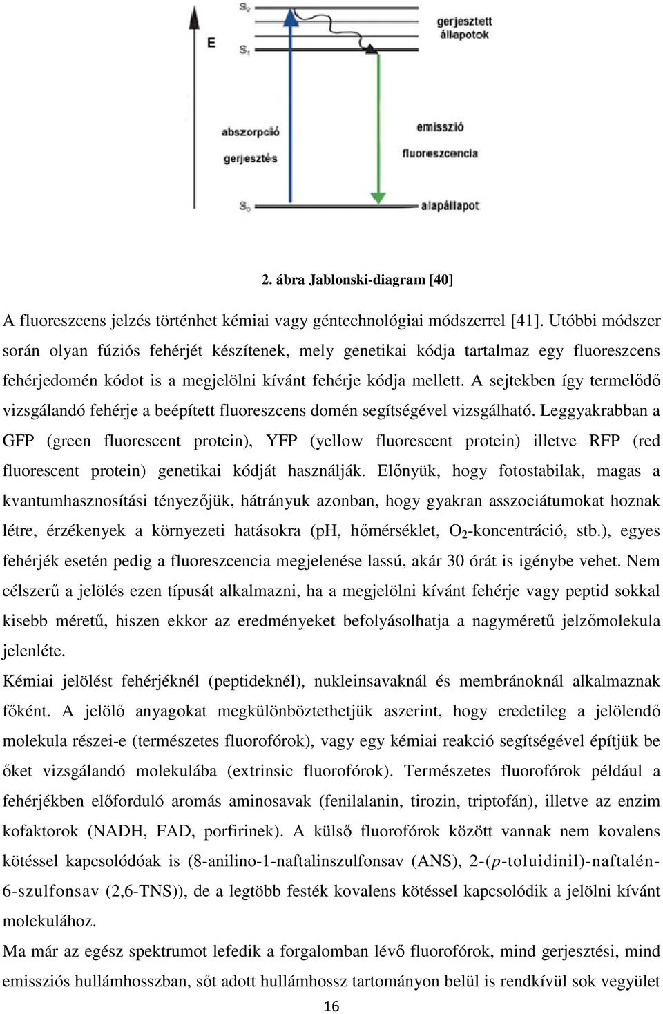 A sejtekben így termelődő vizsgálandó fehérje a beépített fluoreszcens domén segítségével vizsgálható.