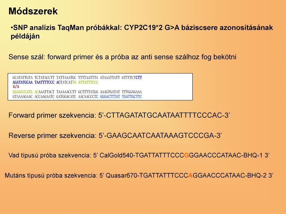 TTTGGAGAAA GTAAAAGAAC ACCAAGAATC GATGGACATC AACAACCCTC GGGACTTTAT TGATTGCTTC Forward primer szekvencia: 5 -CTTAGATATGCAATAATTTTCCCAC-3 Reverse primer szekvencia: 5