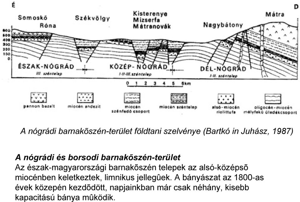 az alsó-középsõ miocénben keletkeztek, limnikus jellegûek.