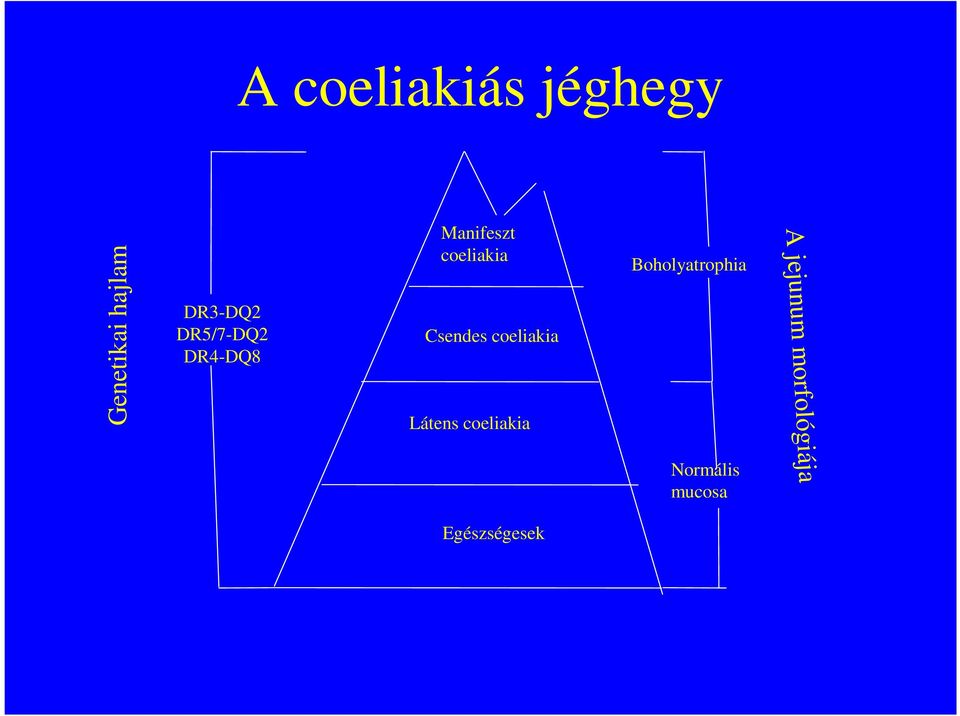 coeliakia Látens coeliakia Boholyatrophia A