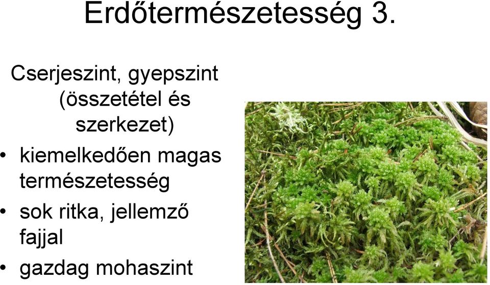 és szerkezet) kiemelkedően magas