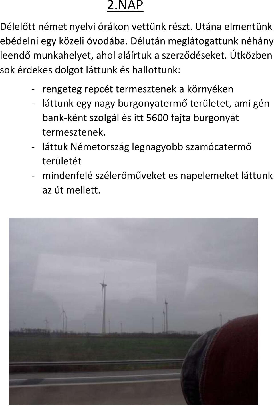 Útközben sok érdekes dolgot láttunk és hallottunk: - rengeteg repcét termesztenek a környéken - láttunk egy nagy